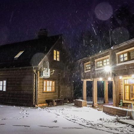 Zemene Villa Bauska Kültér fotó